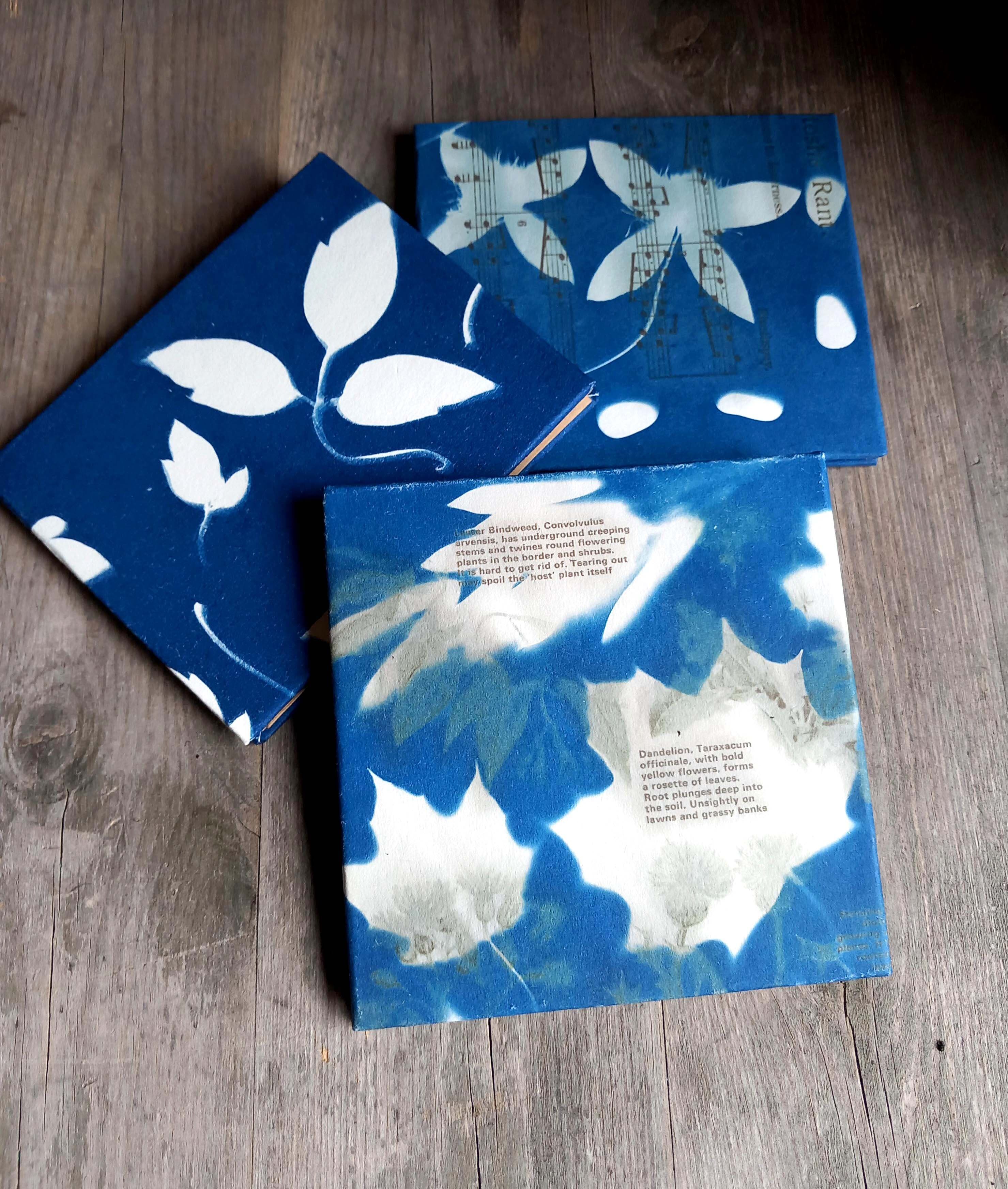 Jill Setterington artwork 1