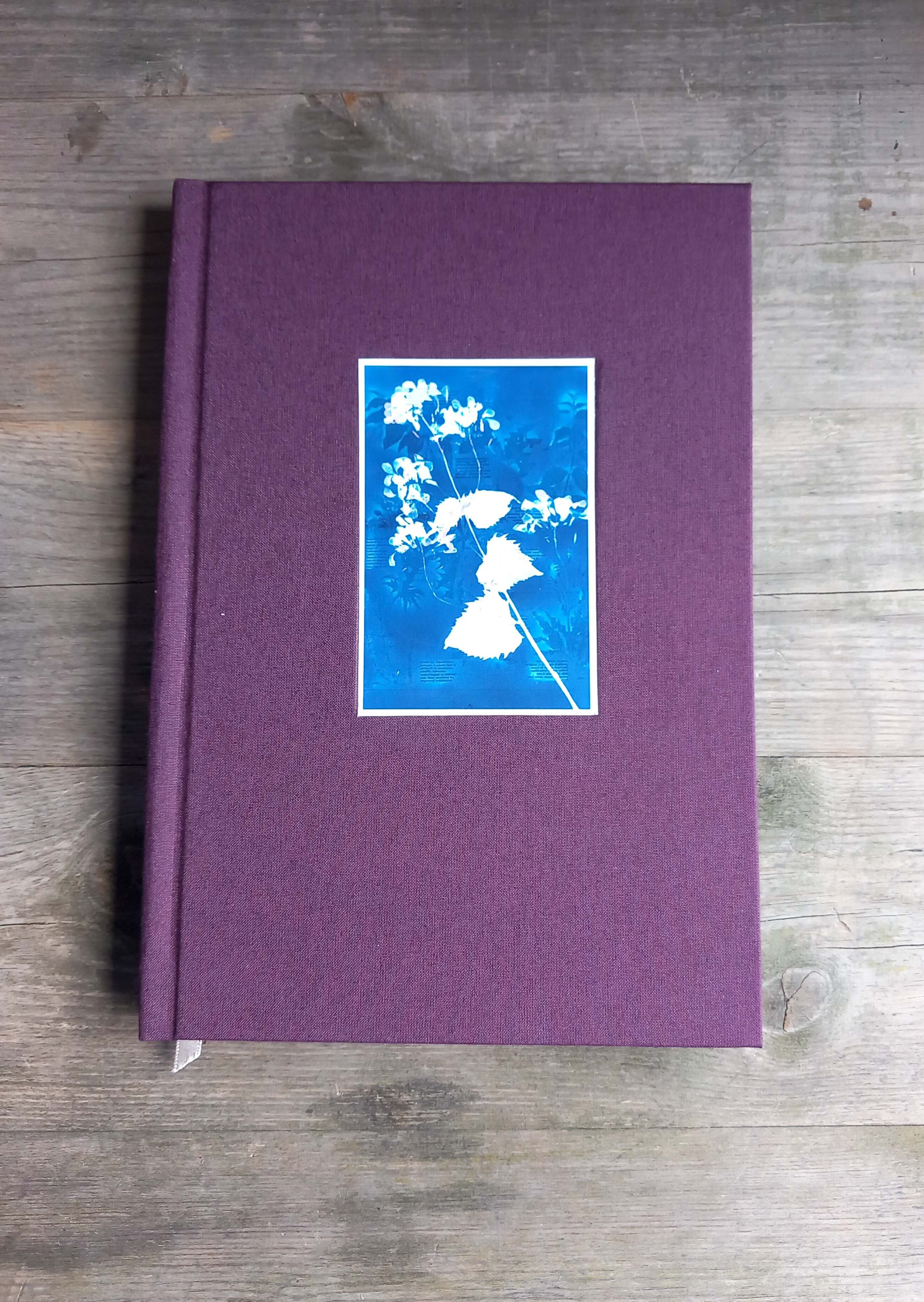 Jill Setterington artwork 3