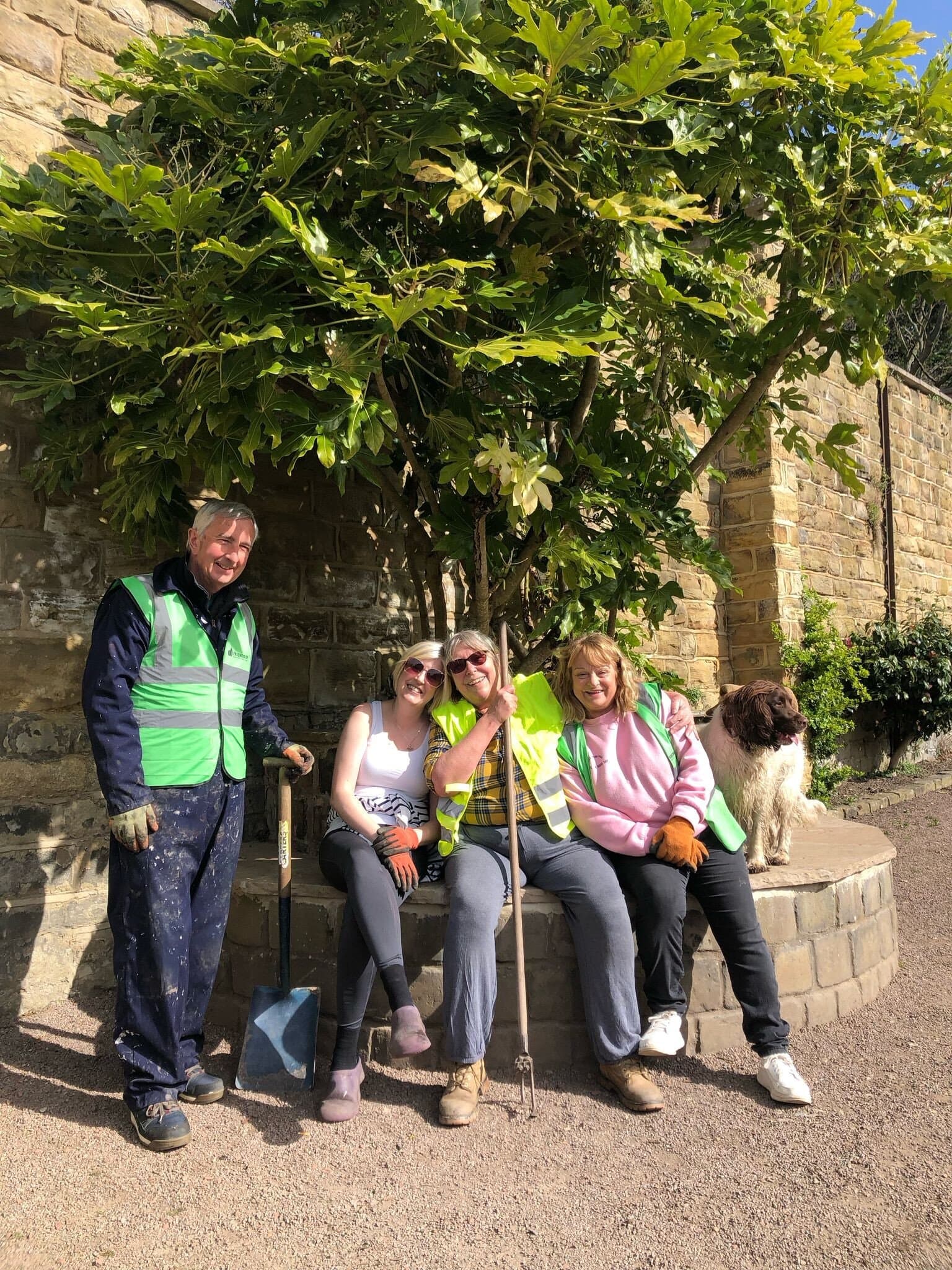 Saturday morning health and wellbeing team garden