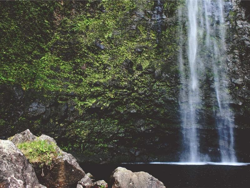 Heritage in Bloom — artwork